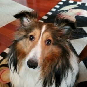 Meet your Posher, Hope